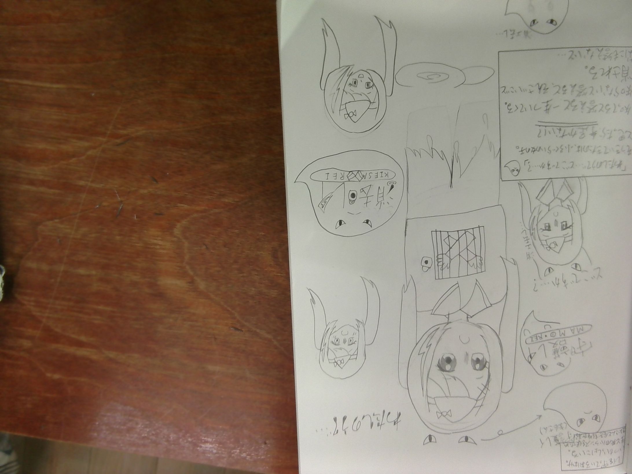 消去レイと守護レイ-1