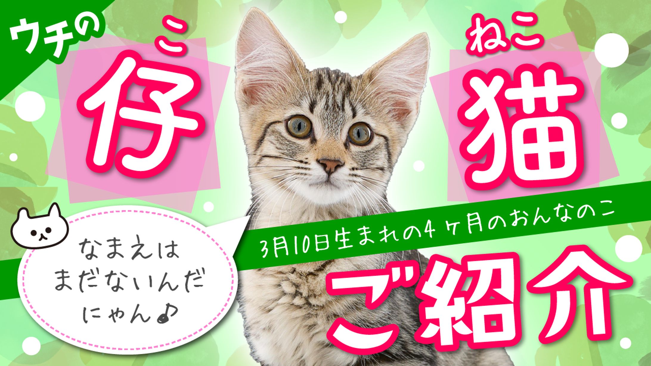 YOUTUBEサムネイル-1