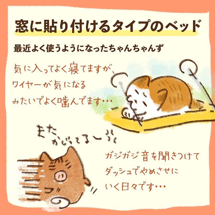 我が家の買ってみてよかった猫さまグッズでーす🐾 みんにゃのお家編も気になる…！🤔 来年も貢がせていただくぞ〜🤑 #茶白 #茶白猫 #キジ白 #サバ 白 #キジシロ#はちわれ #ヅラ猫 #にゃんすたぐらむ #ねこすたぐらむ #猫のいる暮らし #猫好きさんと繋がりたい #cat ...