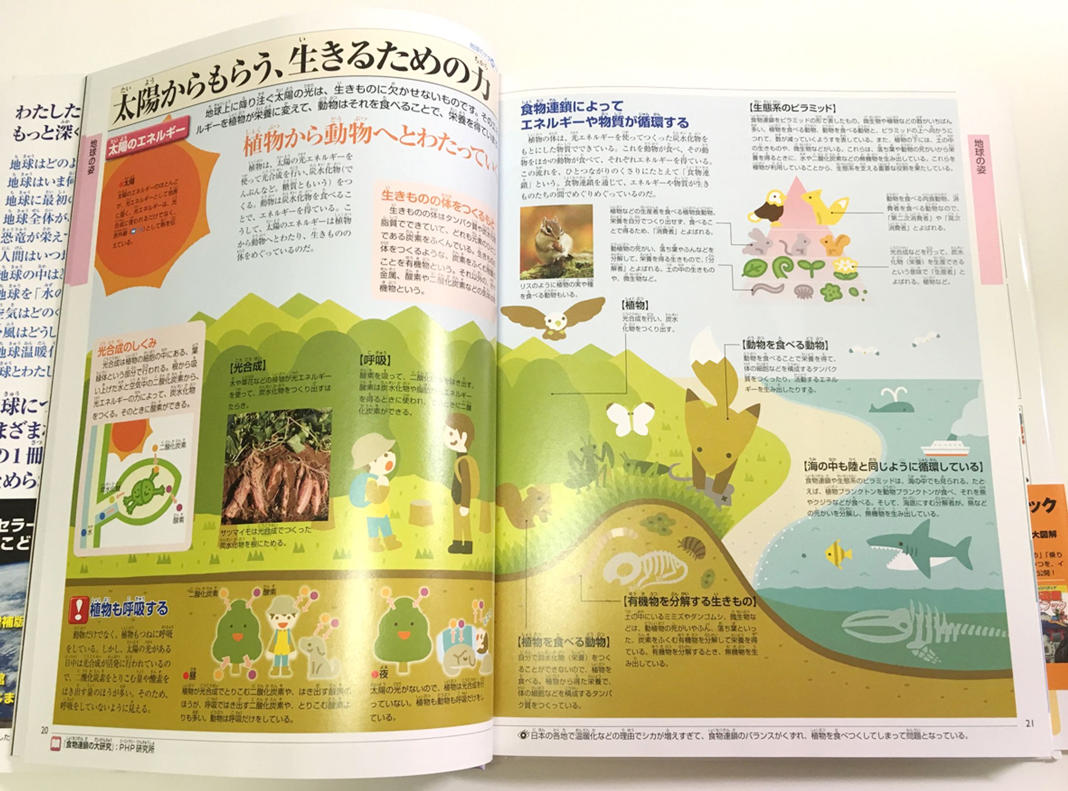 キッズペディア地球館-1