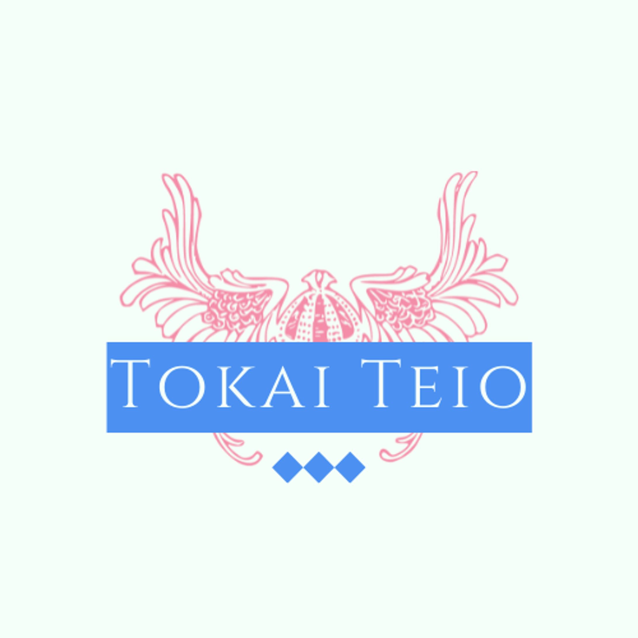 Tokai Teio-1