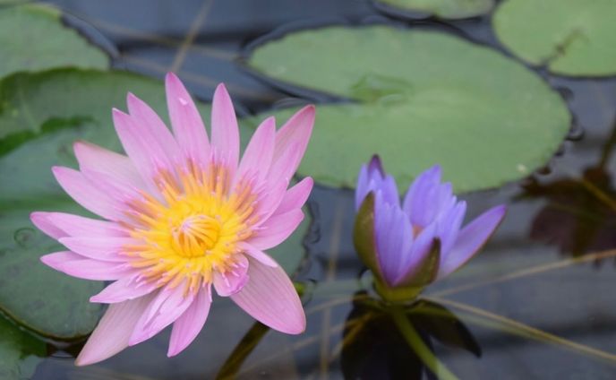 photo/Kyusyu