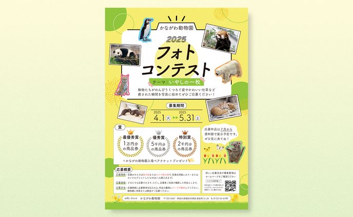 【チラシ】動物園のフォトコンテスト