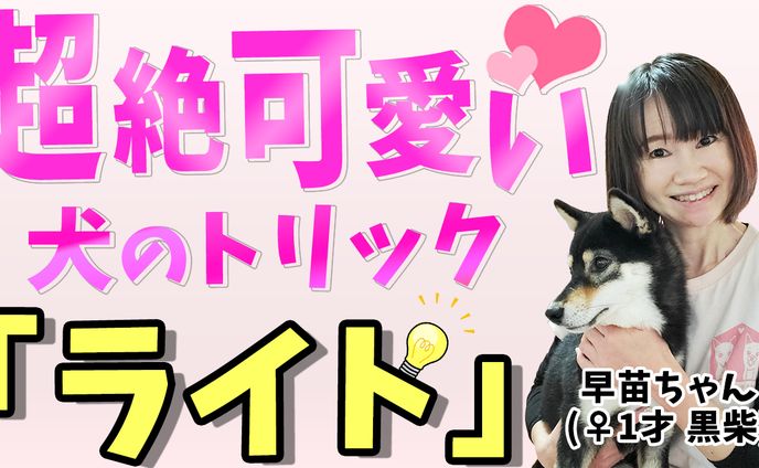 早苗ちゃん「ライト」