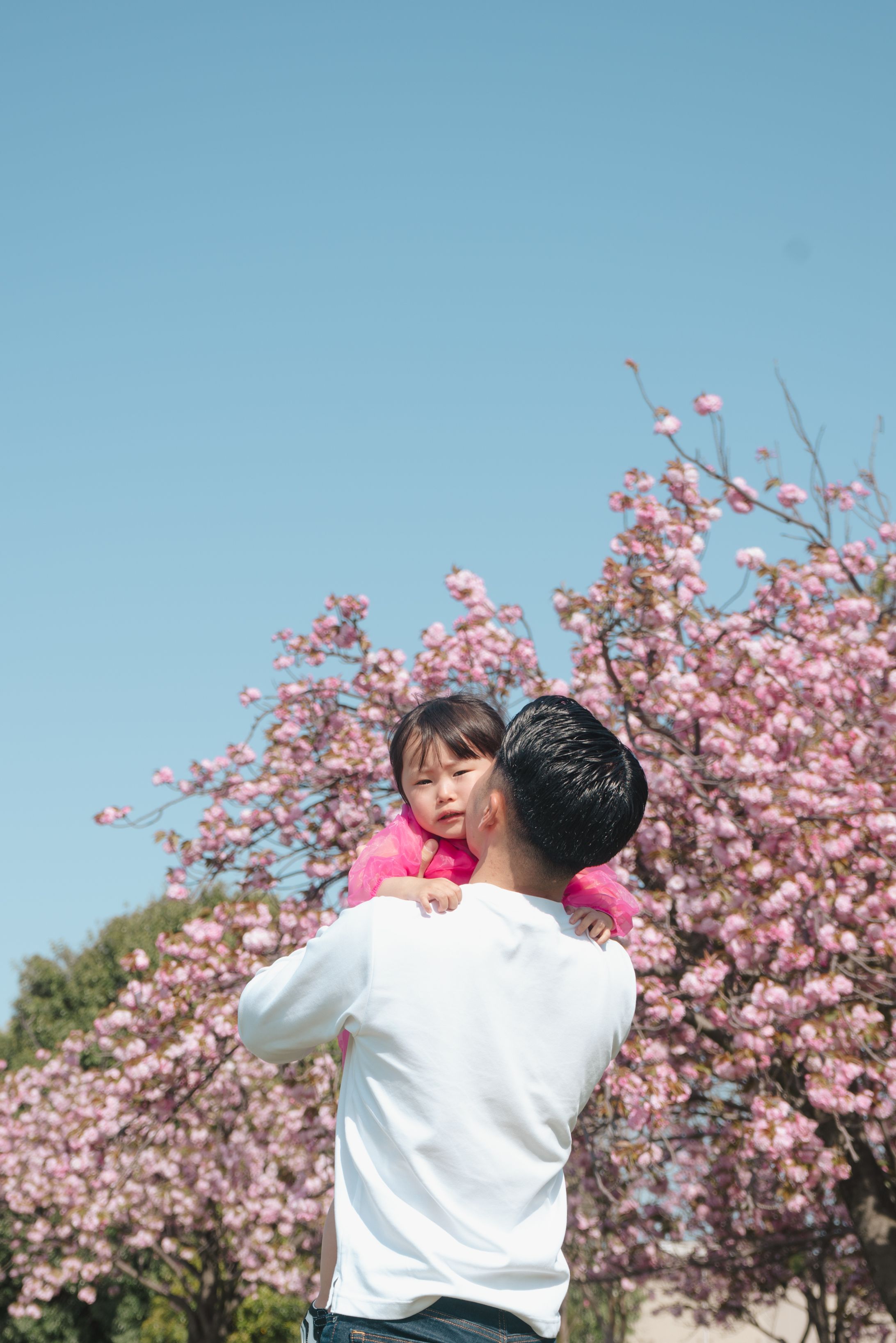 ３歳｜春のポートレート-1