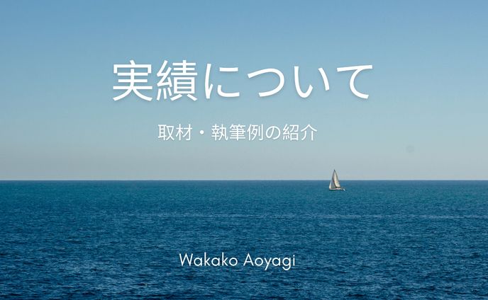 実績について