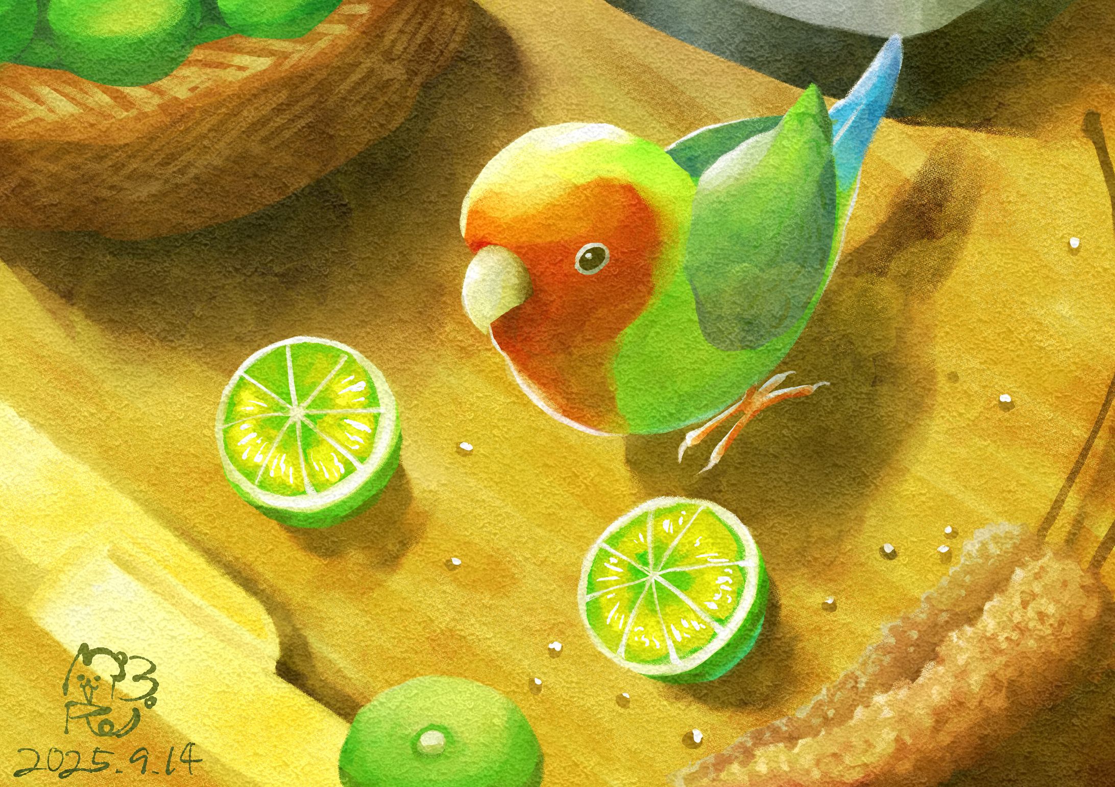 シークワーサーとコザクラインコ-1