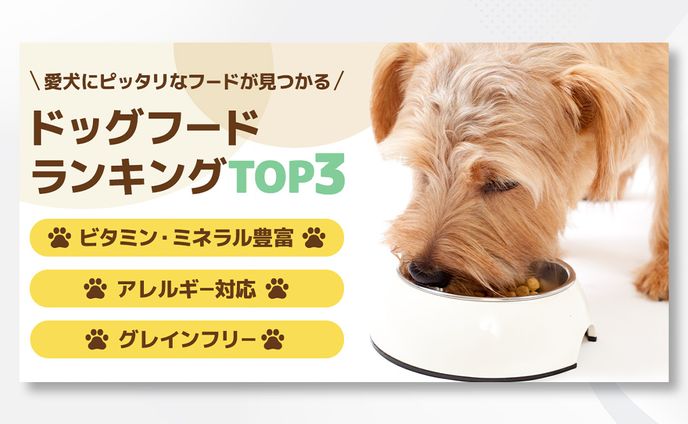 【バナー】ドッグフード比較サイト
