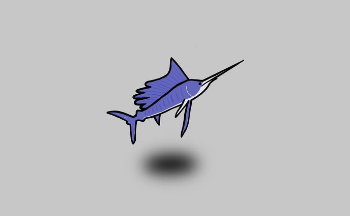 デザイナー、イラストレーター、海の生き物