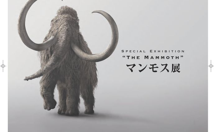 編集・執筆｜マンモス展 オフィシャルプログラム