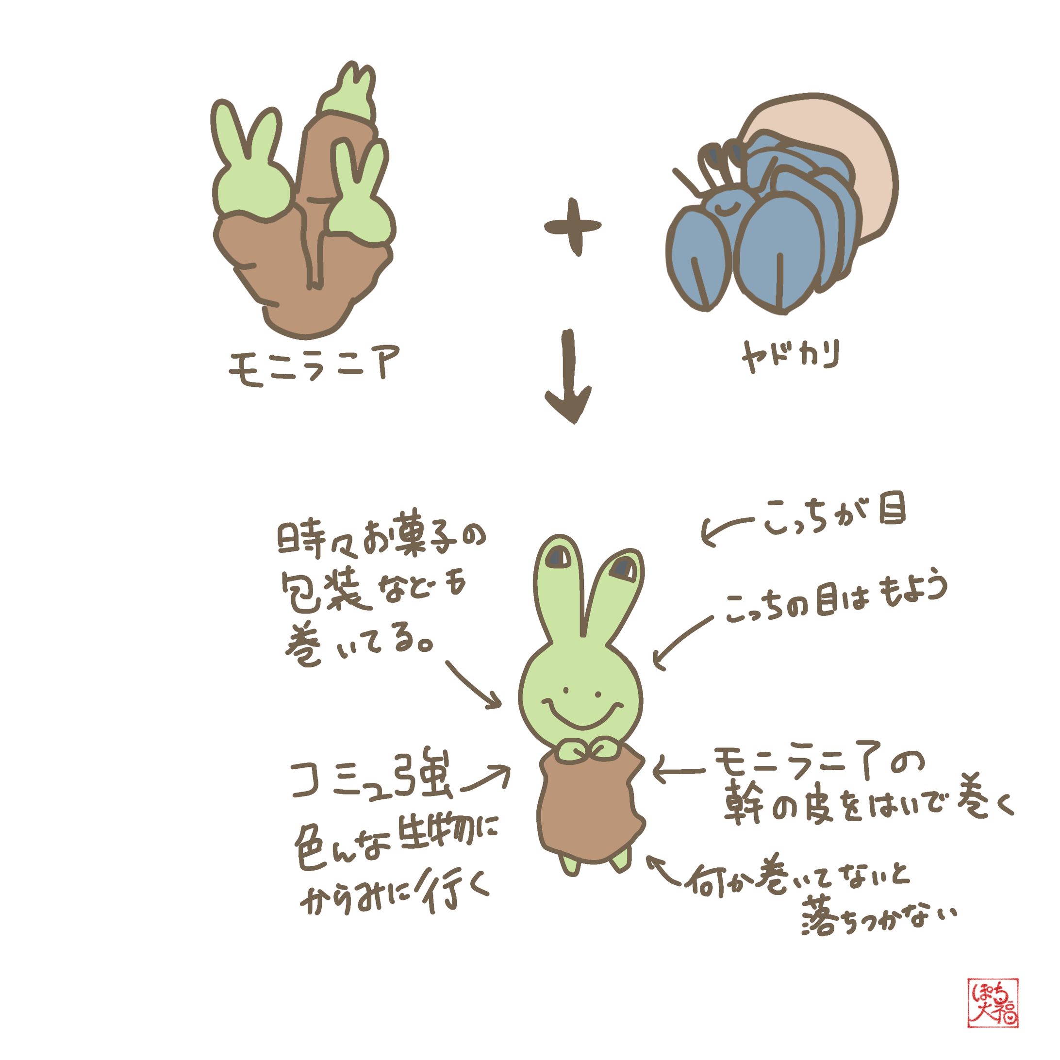 モニラニア×ヤドカリ-1