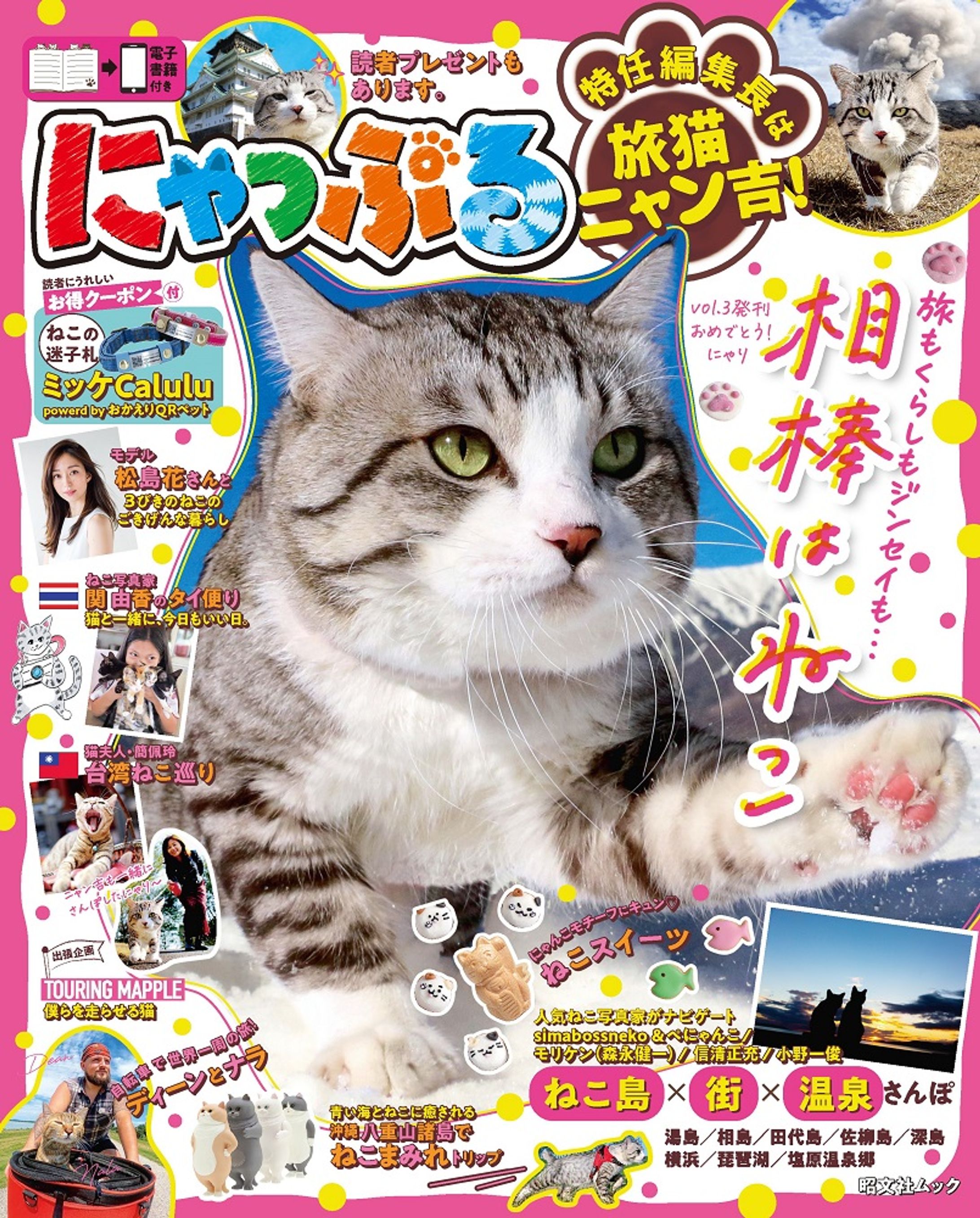 Magazine：Nyapple / にゃっぷる 3-1