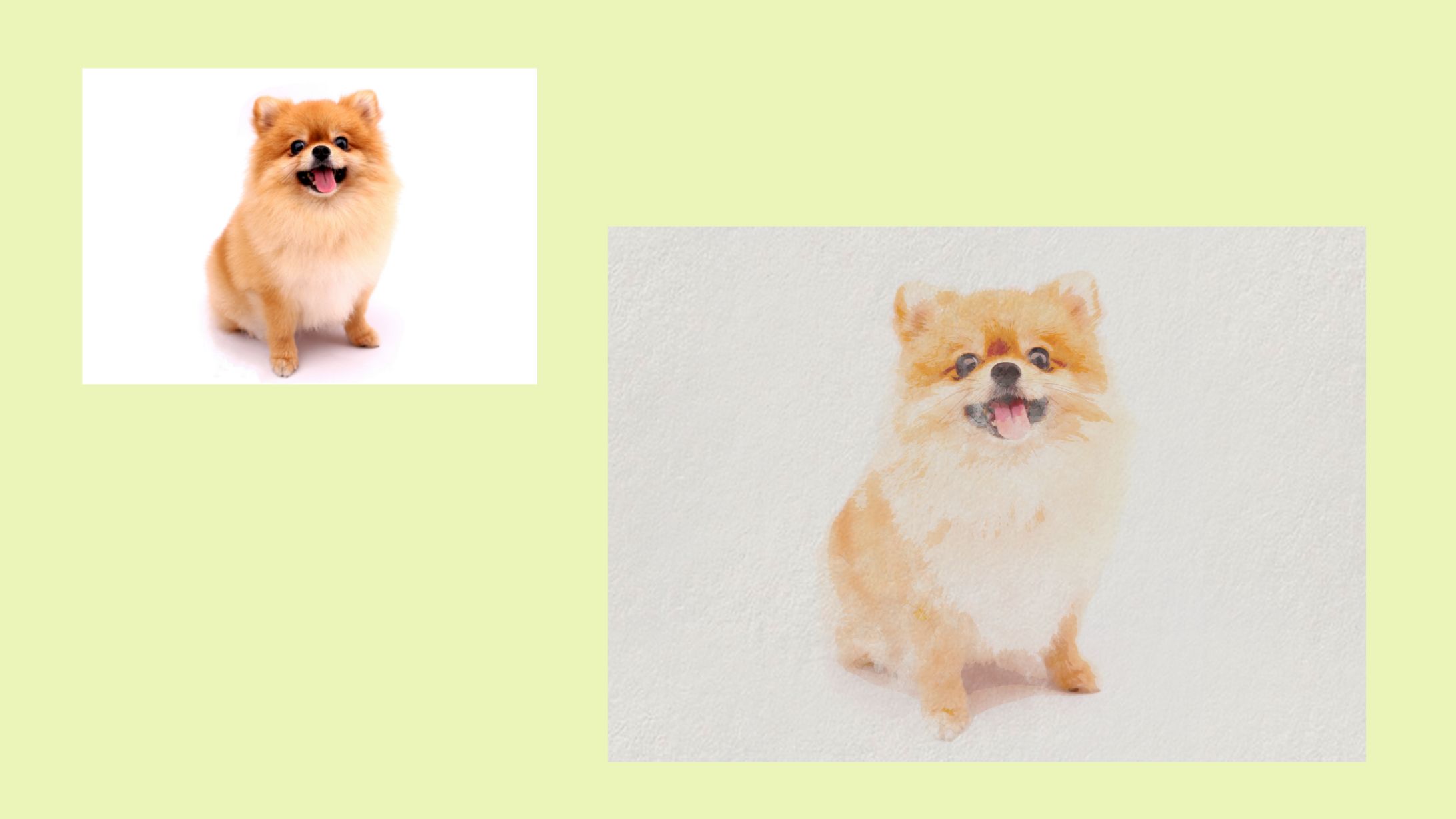 dog-1