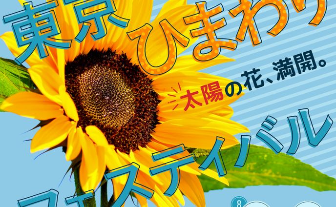 ポートフォリオ、バナー(特集)
