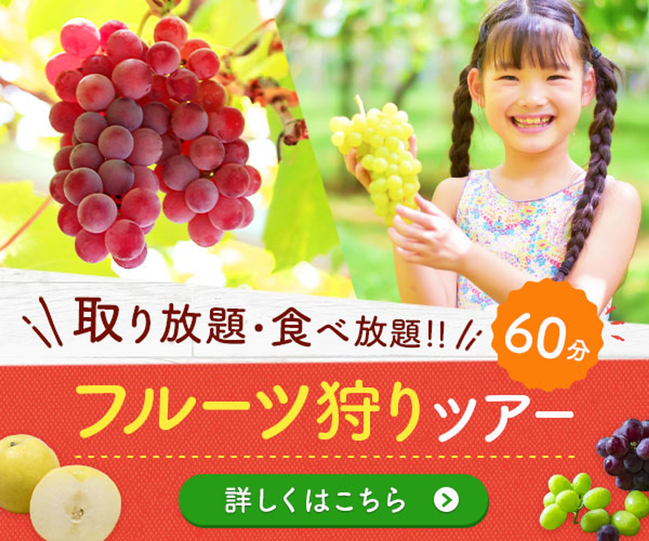 フルーツ狩りツアー【自主制作】Photoshop-1