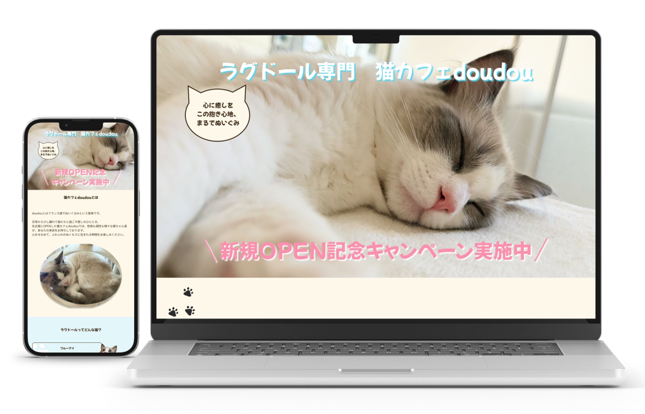猫カフェ　LP-1