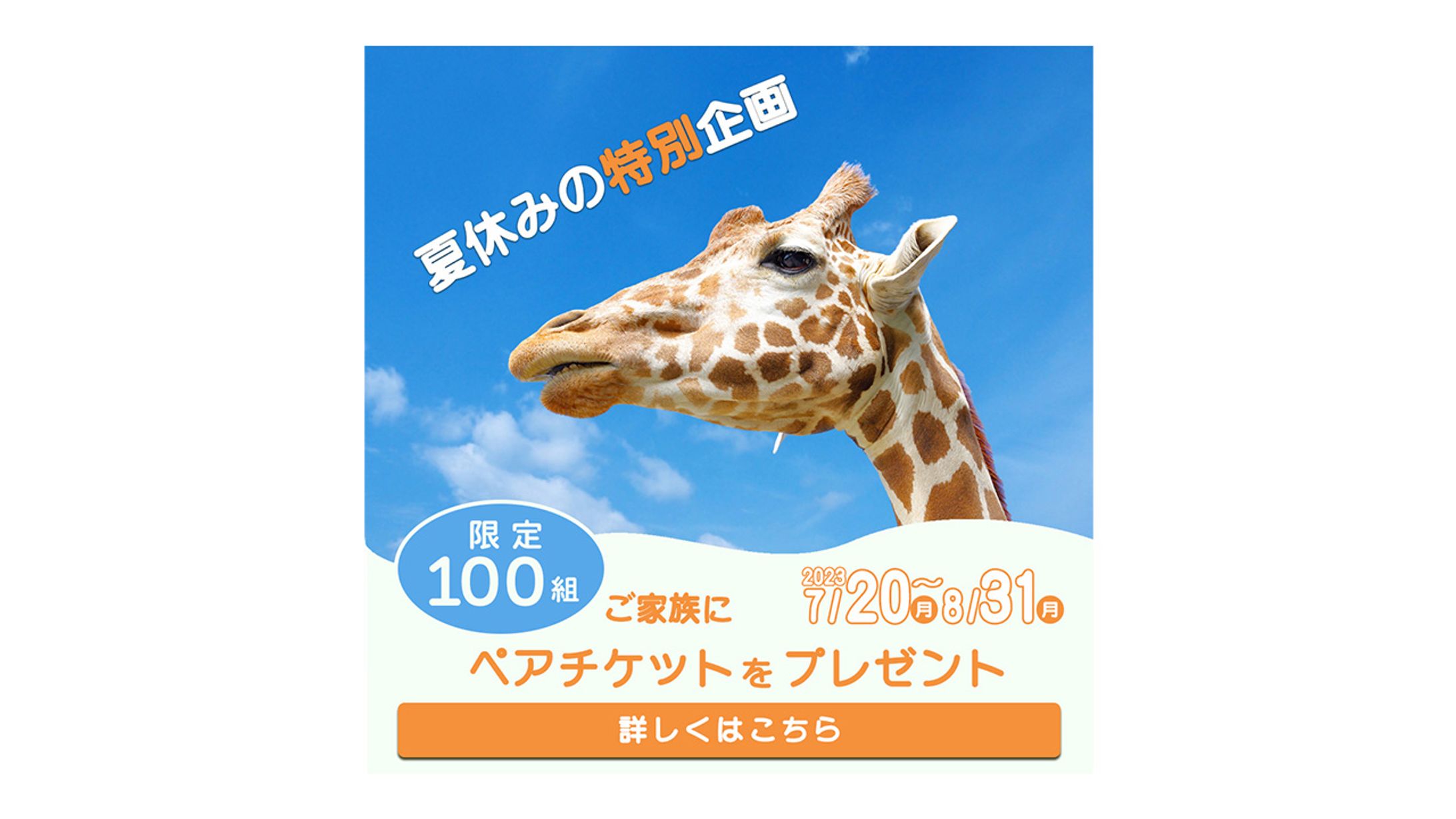 動物園「Zoo Paradise」バナー制作-1