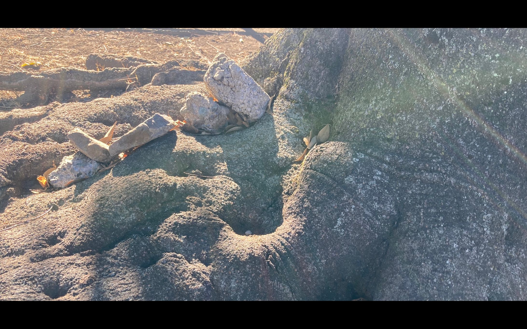 photo-1