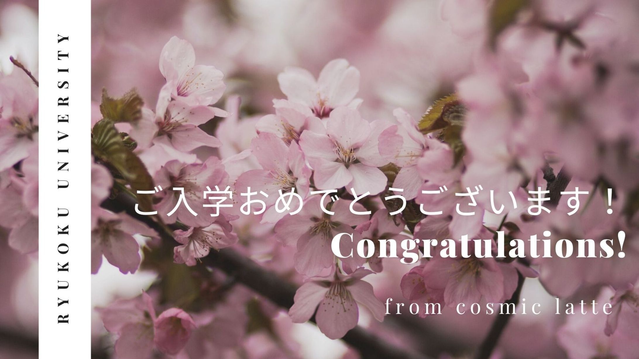 SNSでの入学お祝い画像-1