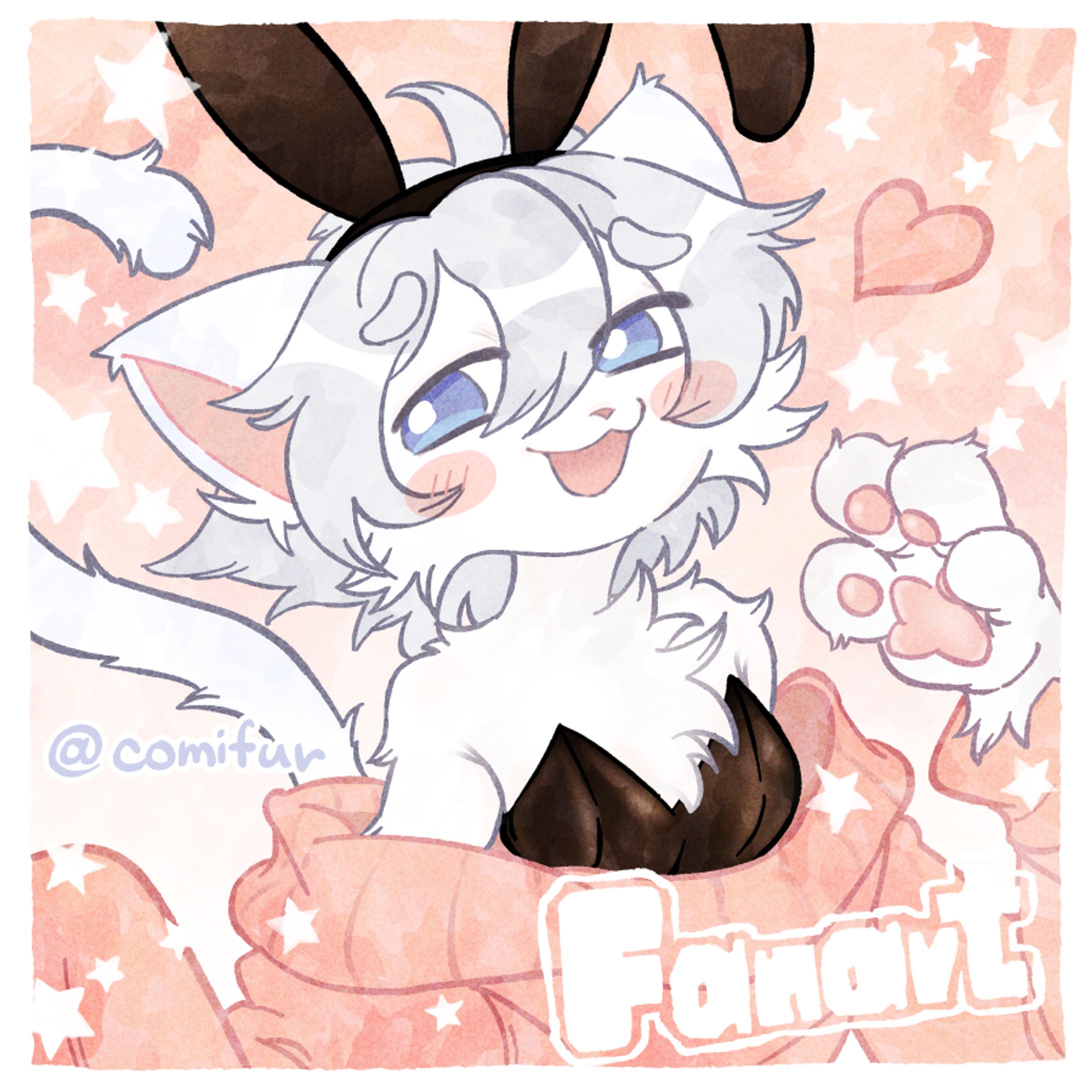 White bunny cat-1
