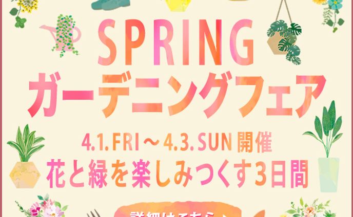 イラストレーター　デザイナー、webdesign