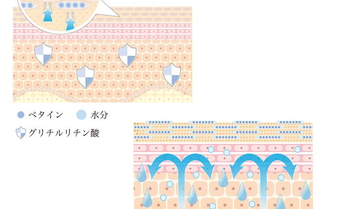 化粧品メーカーweb用 