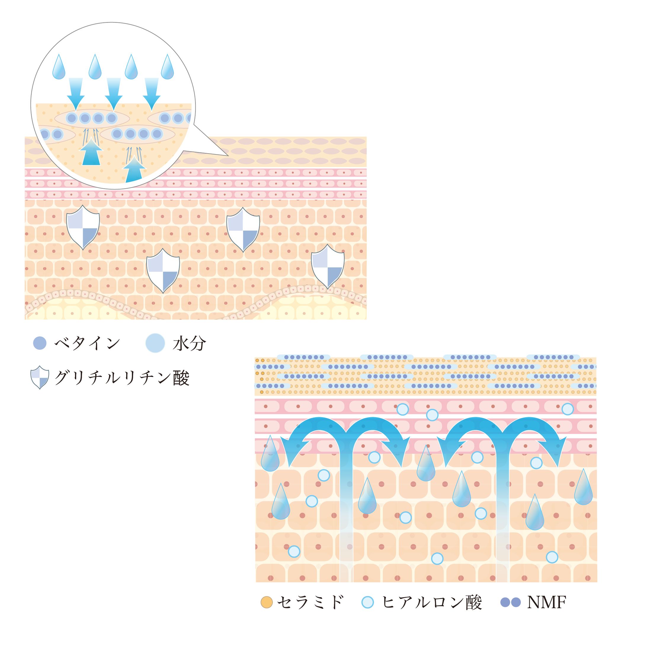 化粧品メーカーweb用 -1
