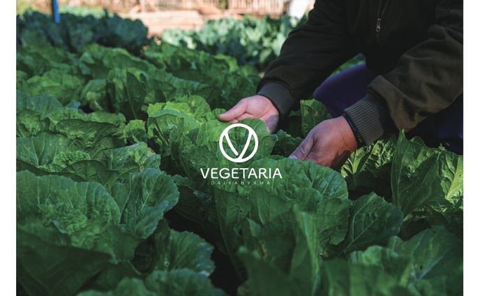 有機野菜を取り扱う八百屋のブランディング