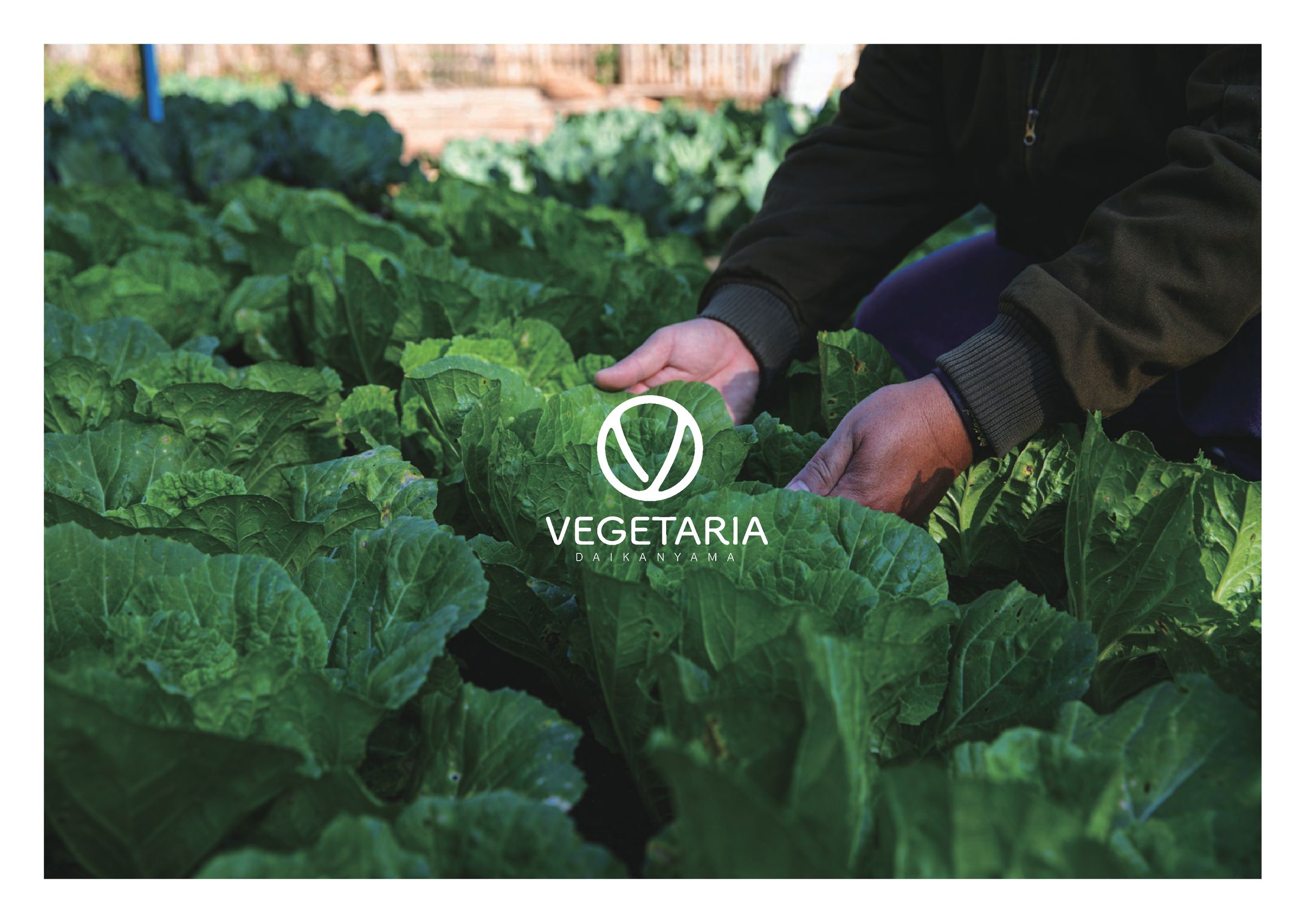 有機野菜を取り扱う八百屋のブランディング-1