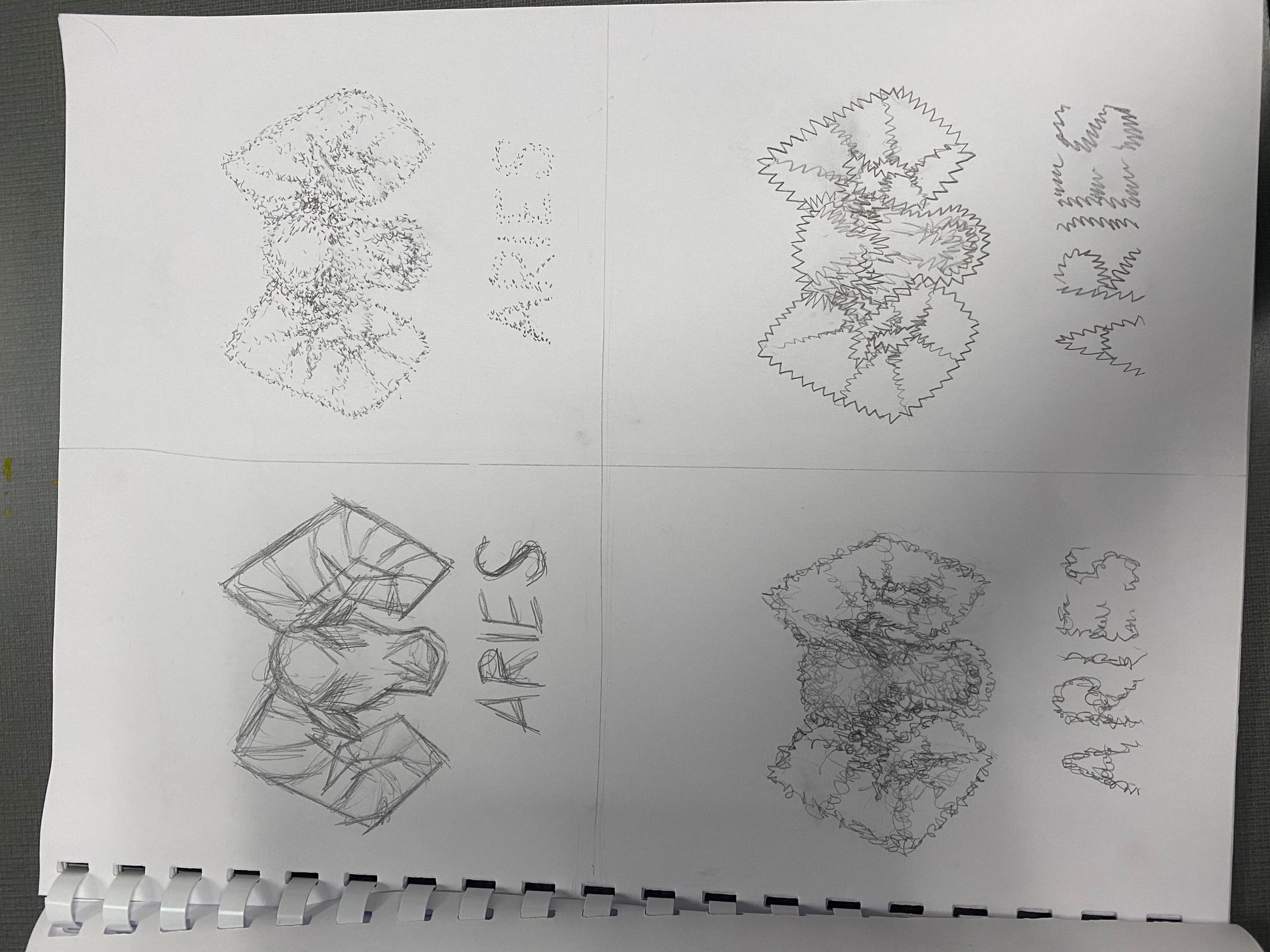 Aries Zodiac Sign -1