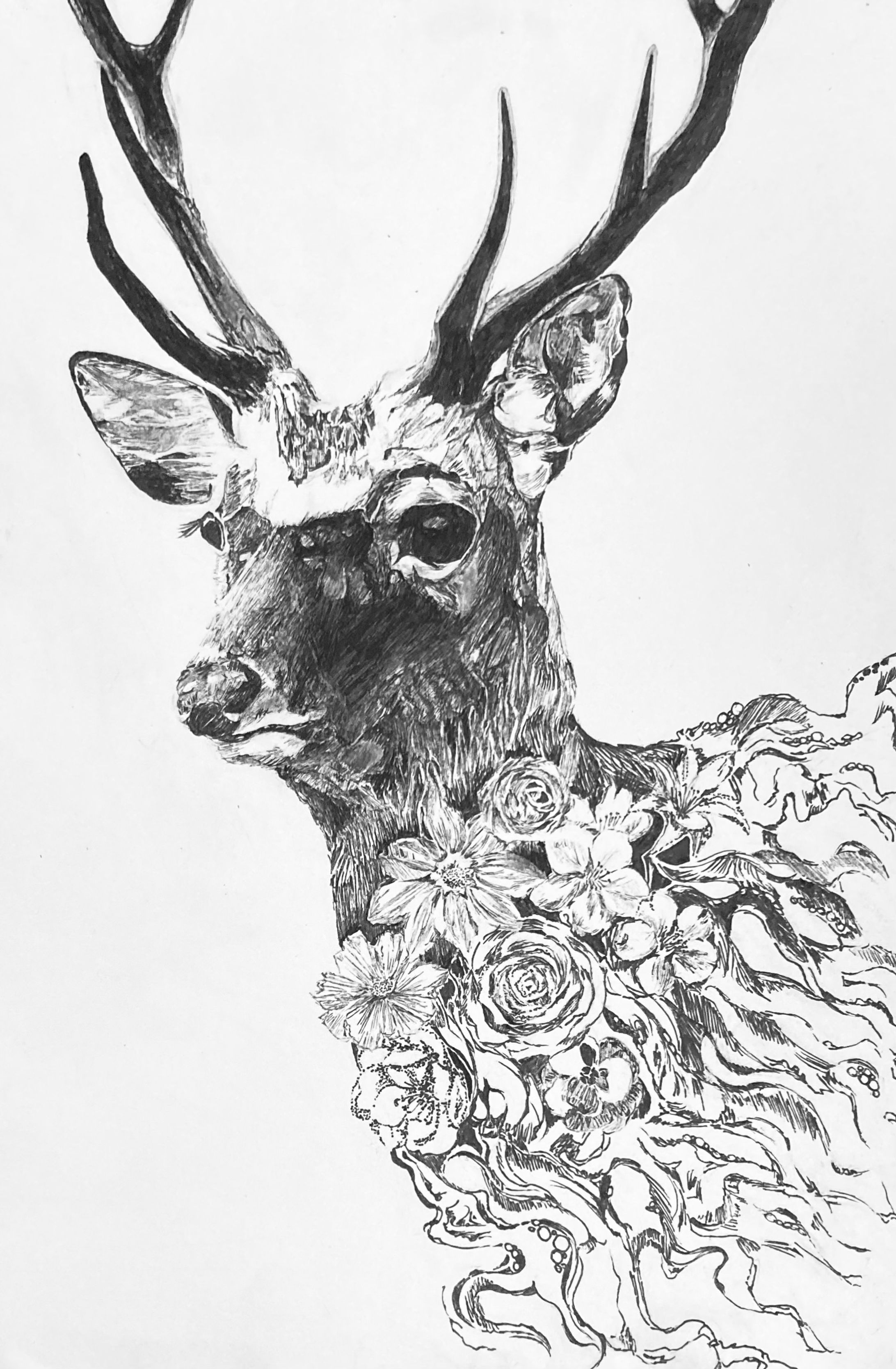 すず ペン画ポートフォリオ-1