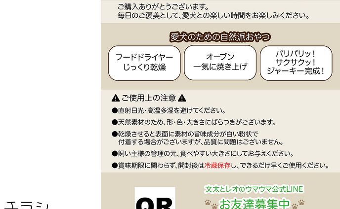 【実績】文太とレオのウマウマ様のチラシ