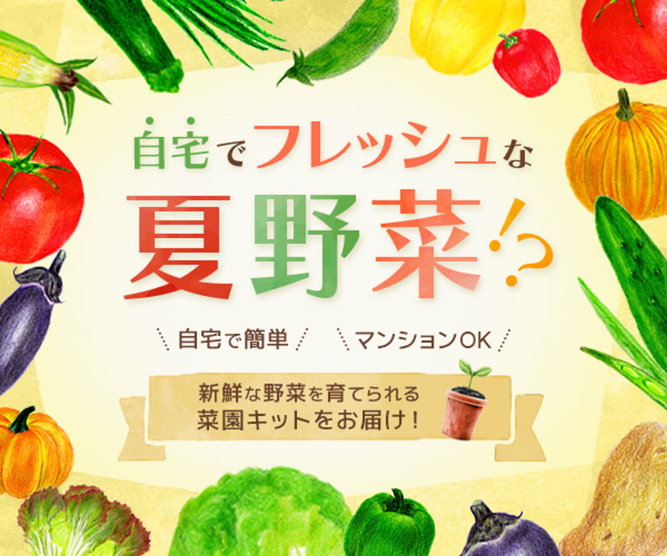 【バナー】野菜宅配サービス-1