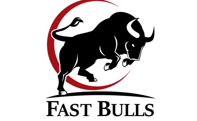 有償ご依頼ロゴデザイン有限会社FASTBULLS 