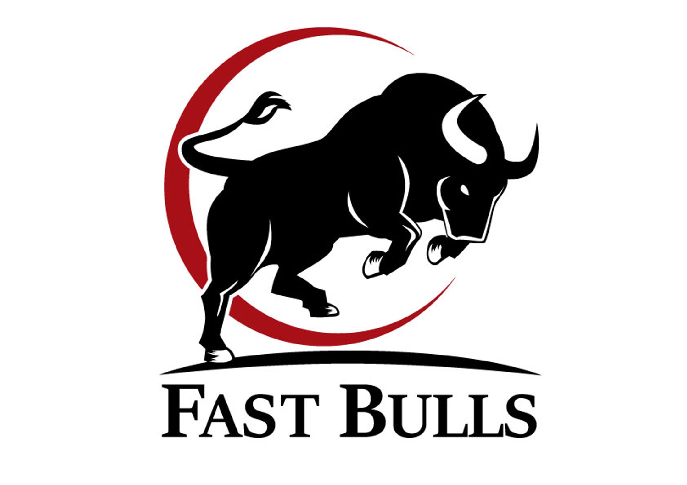 有償ご依頼ロゴデザイン有限会社FASTBULLS -1