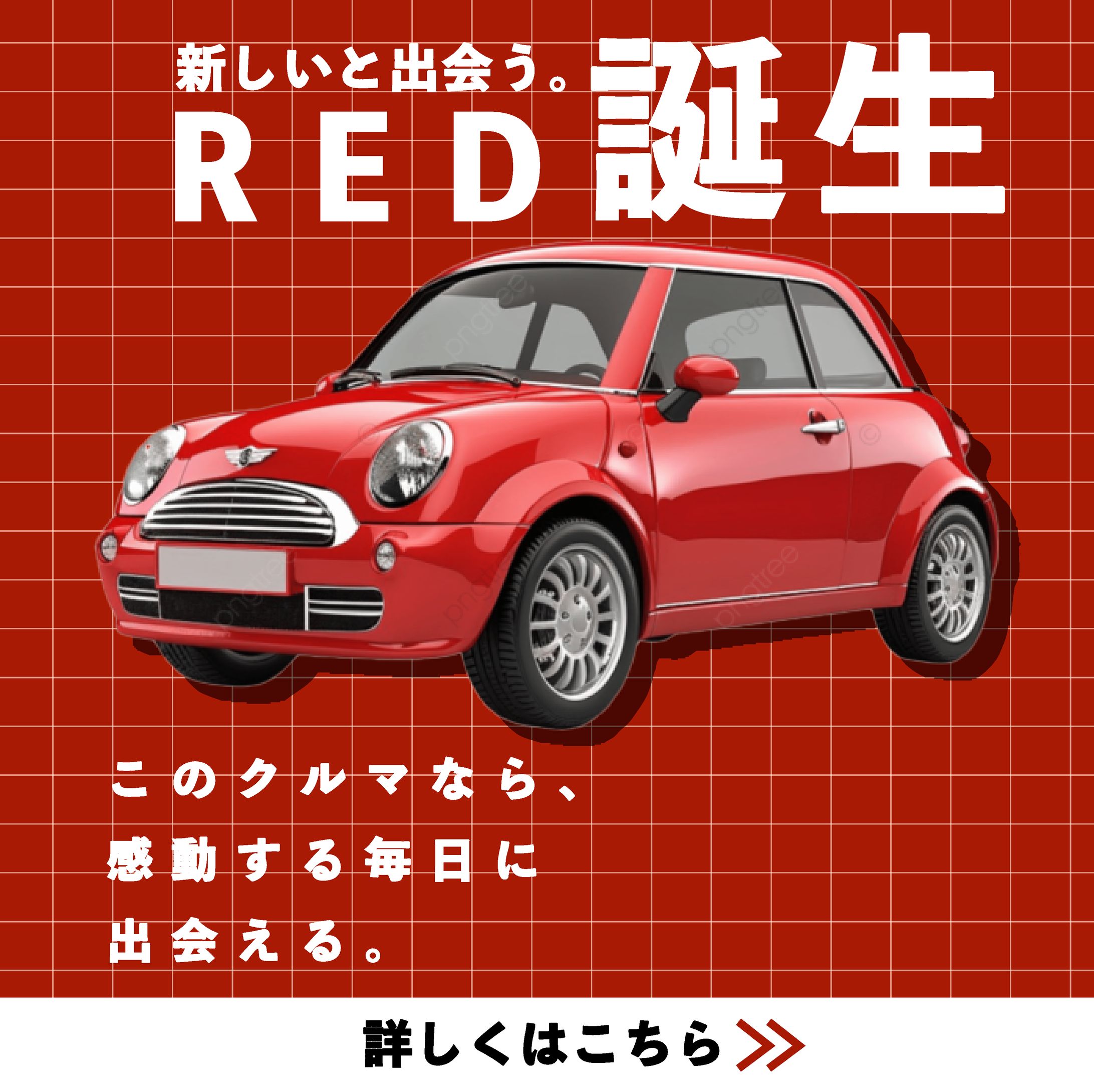 車　紹介　新商品 RED-1