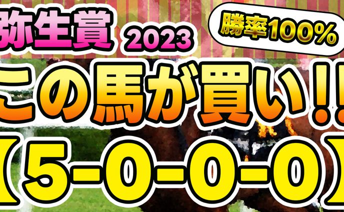 【公開許可実績】競馬系YouTubeチャンネル様