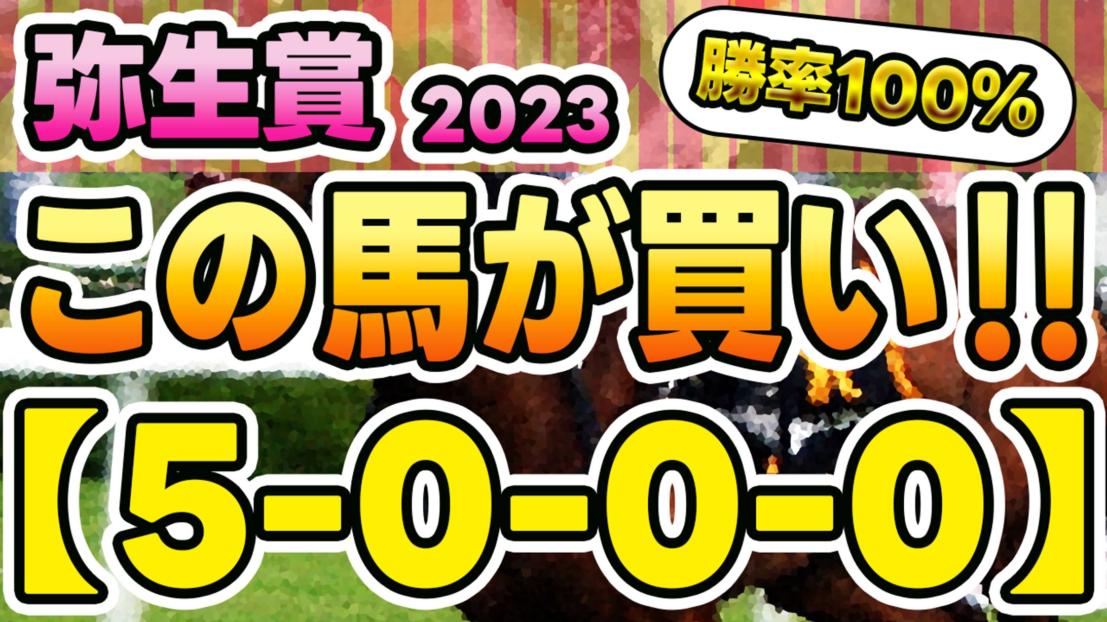 【公開許可実績】競馬系YouTubeチャンネル様-1