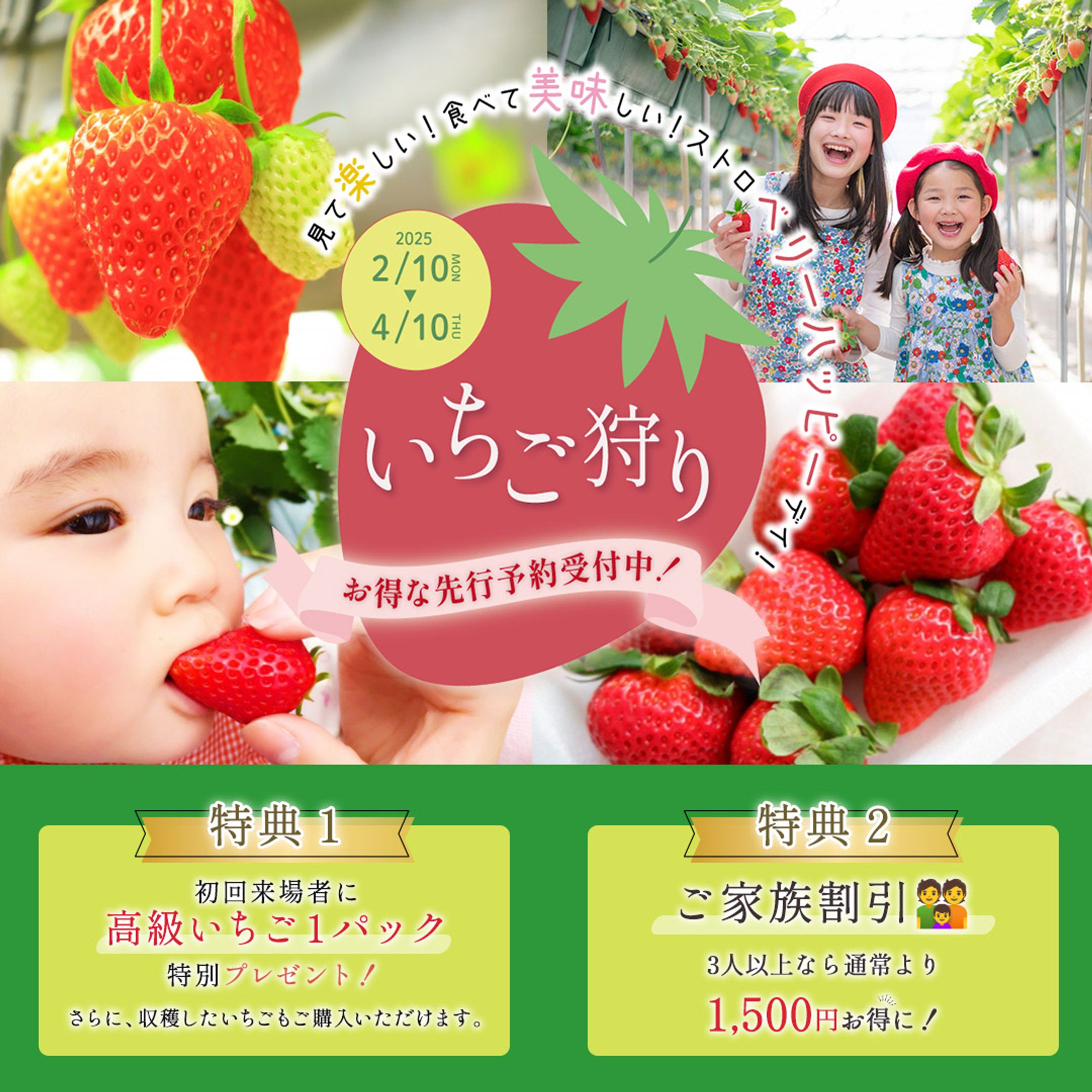 【自主制作】いちご狩り-1