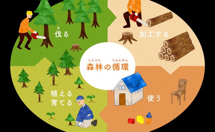 【実案件】林業サイト向け図解