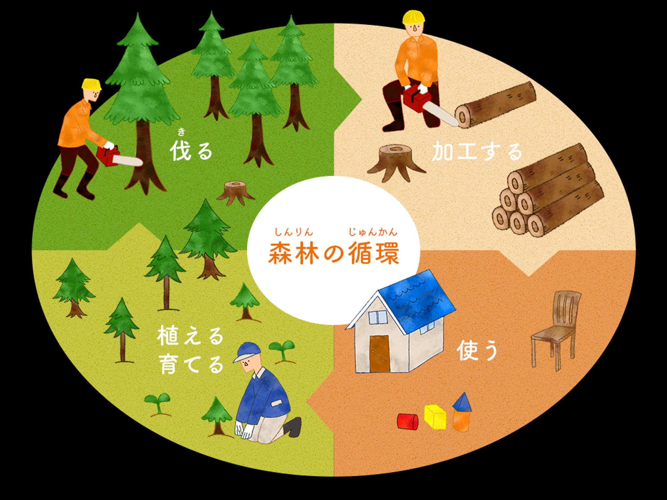 【実案件】林業サイト向け図解-1