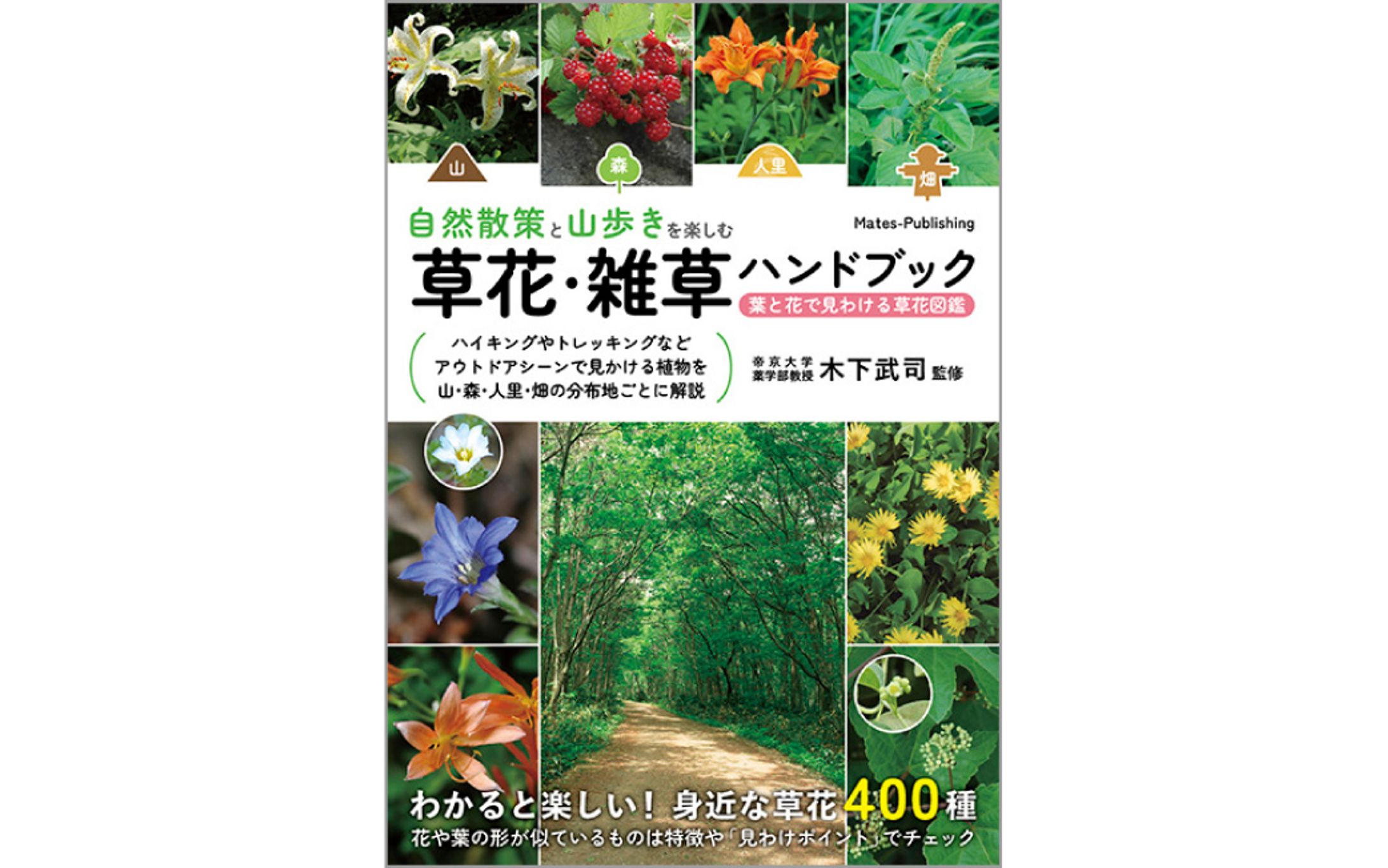 書籍『自然散策と山歩きを楽しむ 草花・雑草ハンドブック 葉と花で見わける草花図鑑』-1