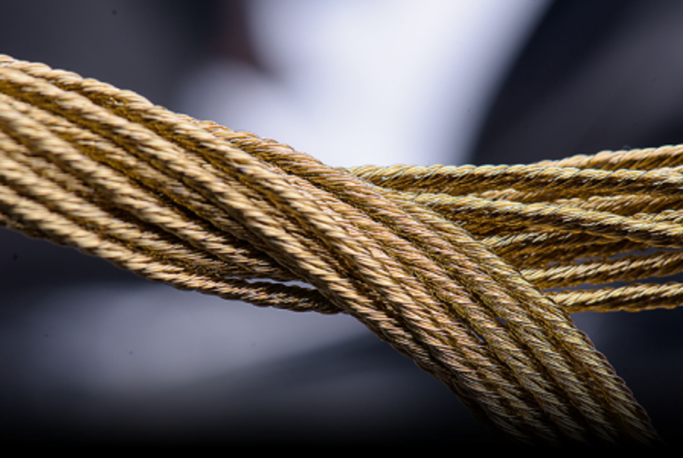 グローバルスチールコード市場の成長分析：市場規模、浸透率、需要変動2026-1