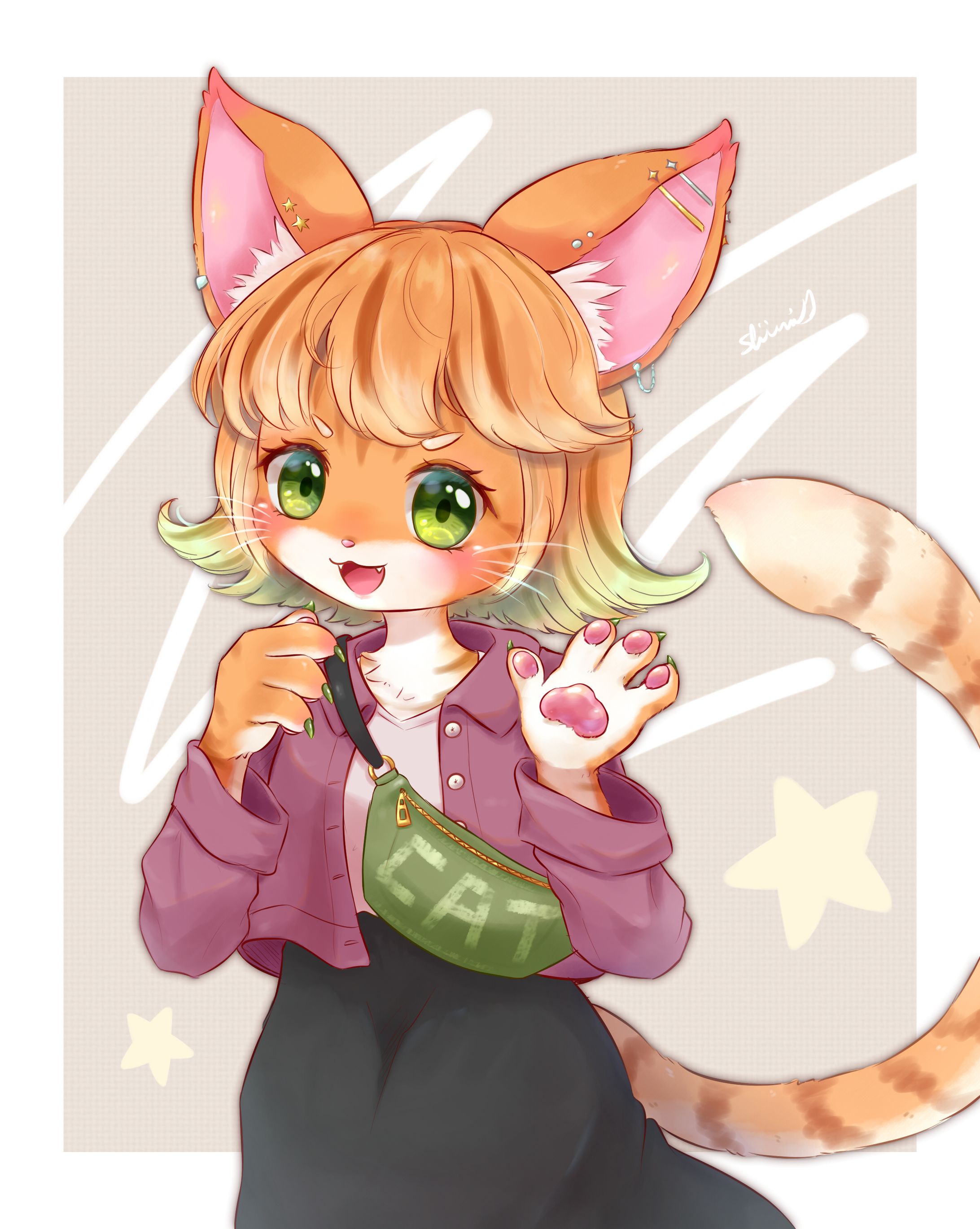 茶トラの猫ちゃん-1