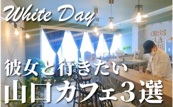 Vlog系