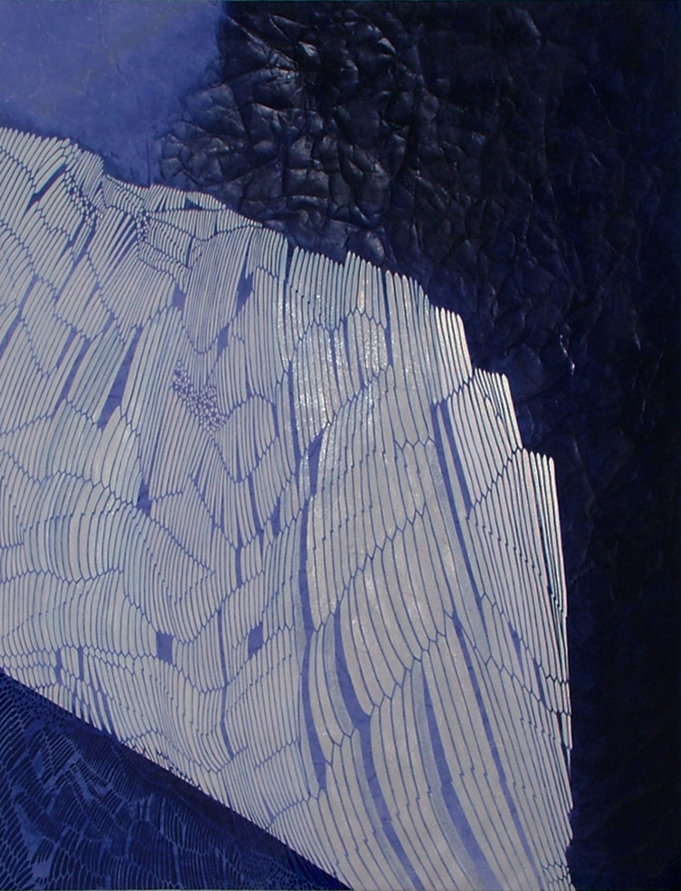 アンモナイトの見る夢は-1