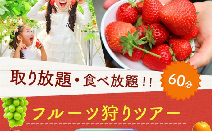 バナー：フルーツ狩り