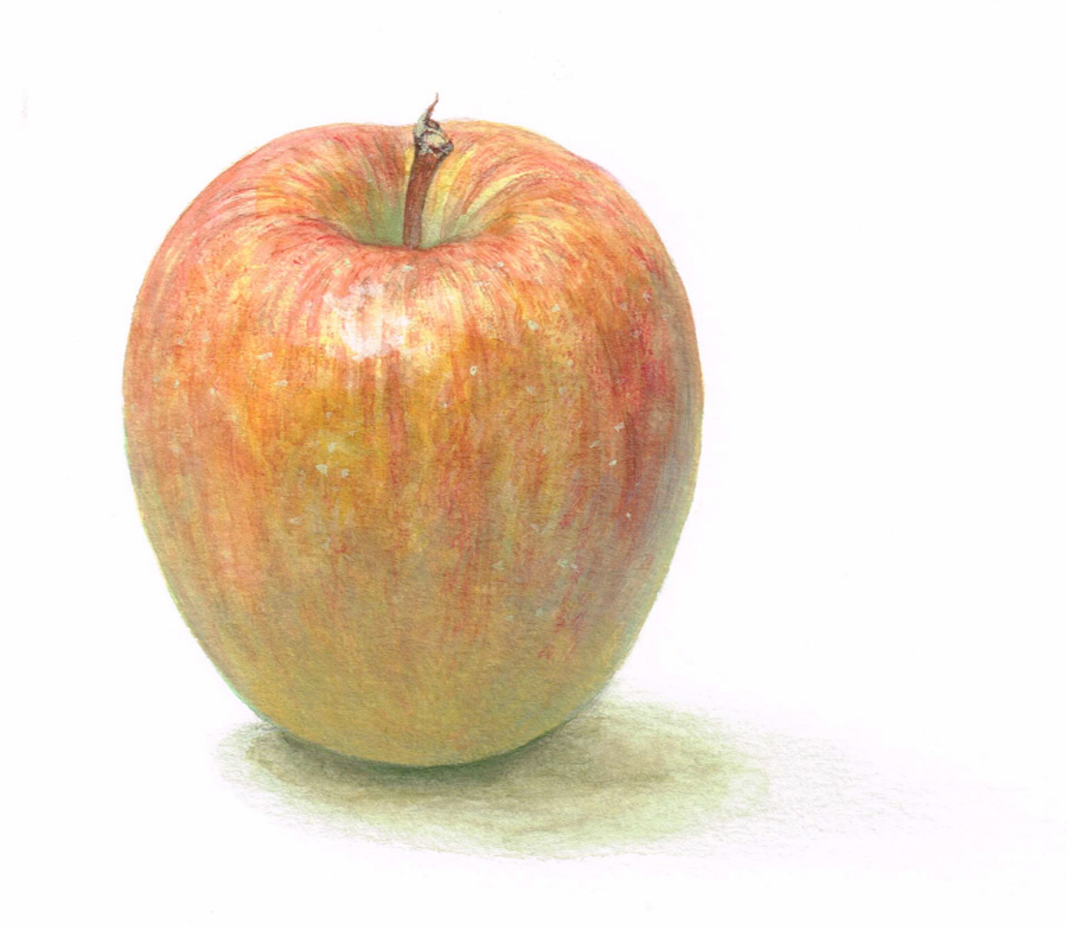 透明水彩　りんご-1