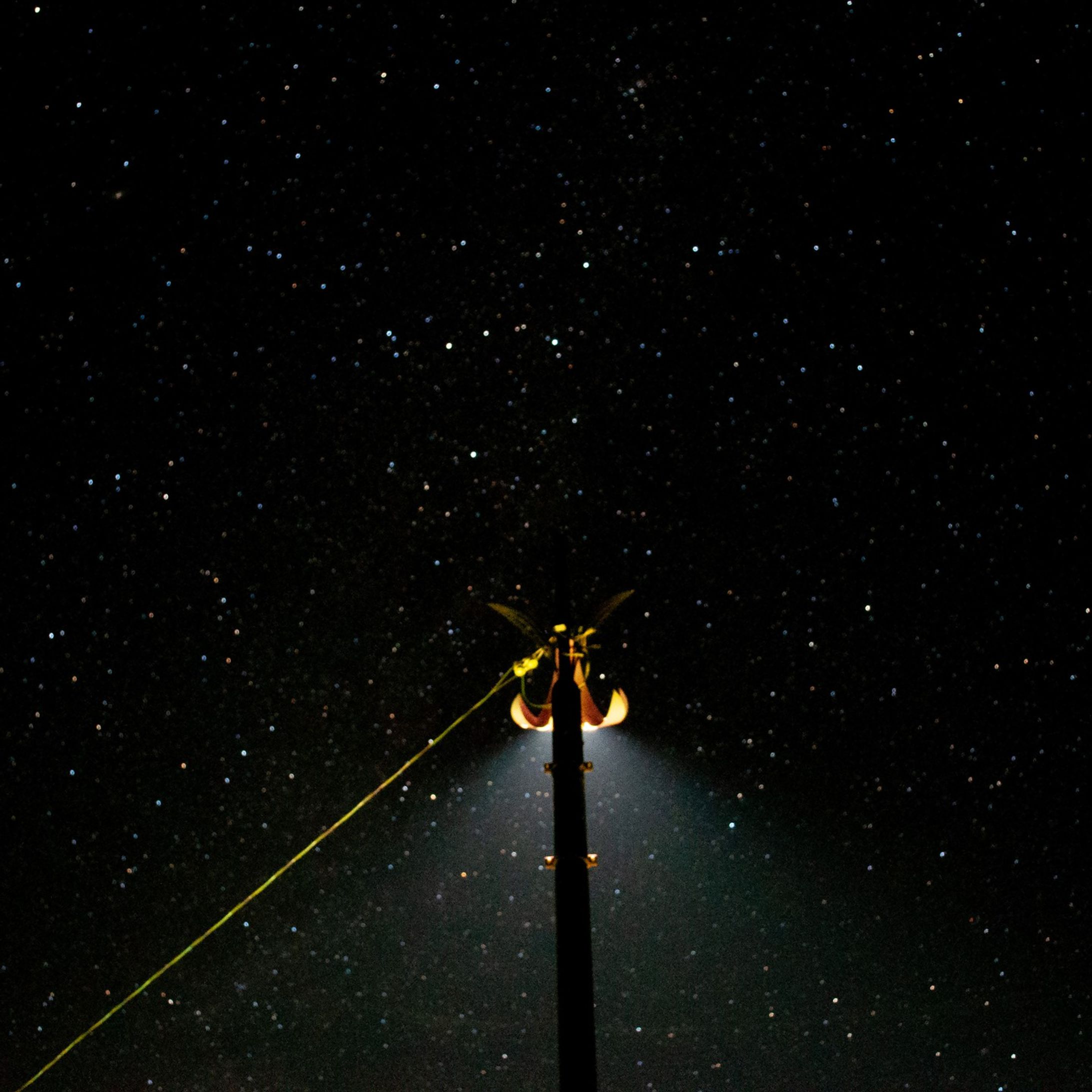 #イマソラ #空 #星 #星空 #天体観測 #星景 #星空撮影 #星景写真 #ファインダー越しの私の世界 #空が好きな人と繋ながりたい #写真が好きな人と繋ながりたい #外灯 #信州 #長野 #長野県 #sky #naganounset_pics #view #views #viewpoint #star #starry night #starry sky #night cap#信州e #stars #photography #nightsky #nightphotography #s_shot #nagano #NAGANO-1