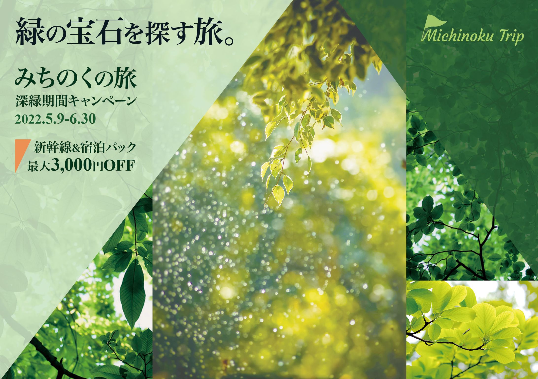 旅行フライヤー-1